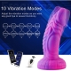 Wildolo Vibrator Monster Anal Dildo With 10 Vibration Modes & Wireless APP Control